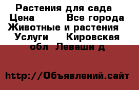 Растения для сада › Цена ­ 200 - Все города Животные и растения » Услуги   . Кировская обл.,Леваши д.